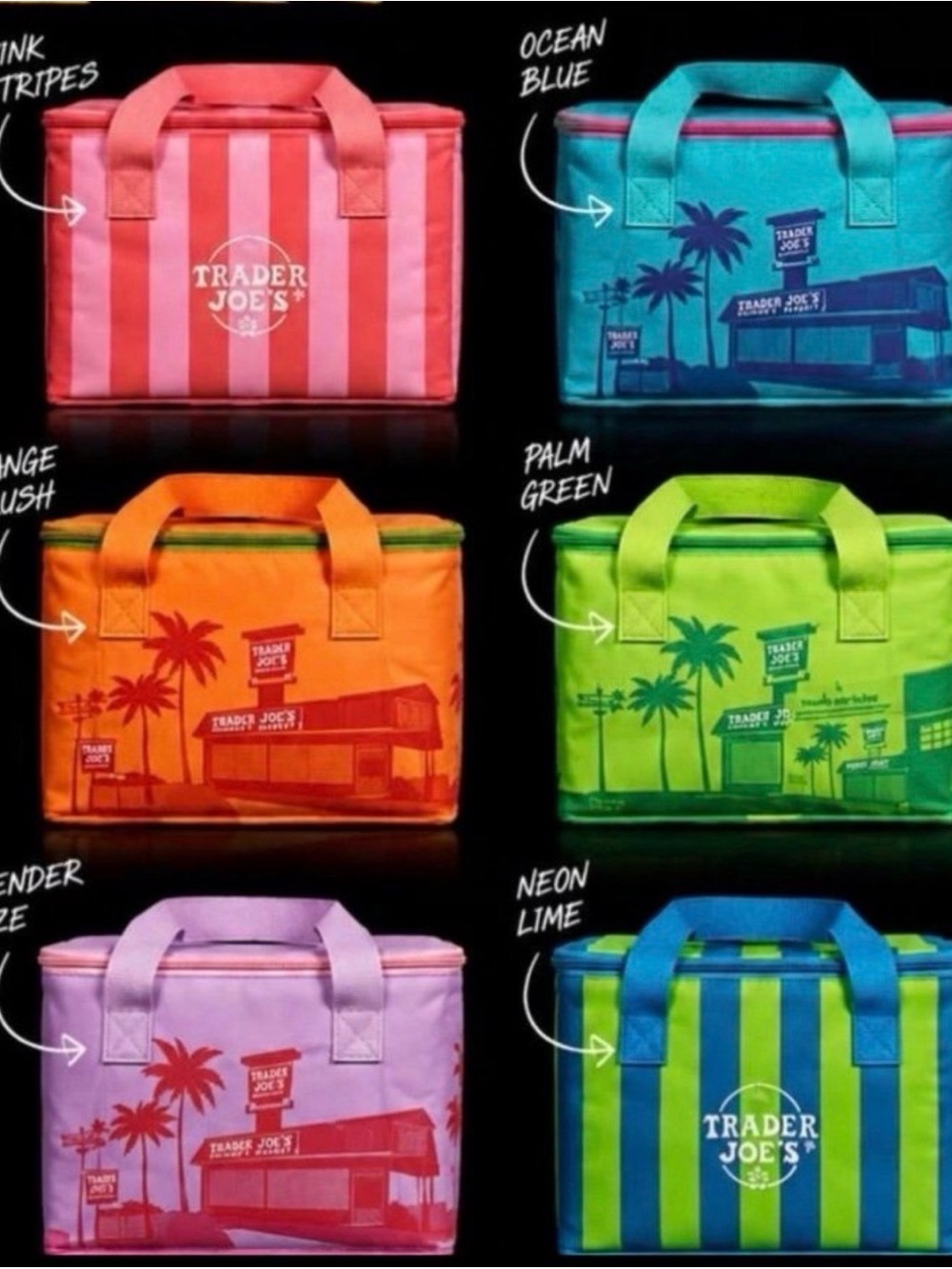 Trader Joe's Reusable Insulated Tote - Multiple Color Options set of 6